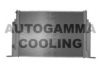 AUTOGAMMA 103055 Radiator, engine cooling